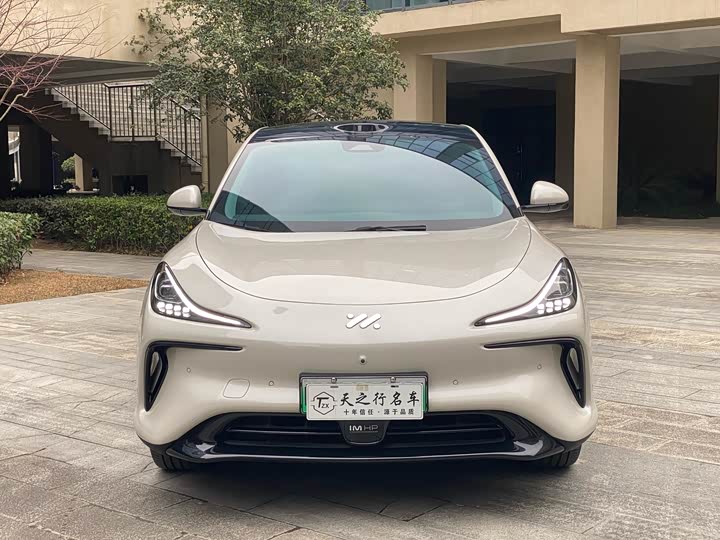 Фото 2 - IM motors LS6