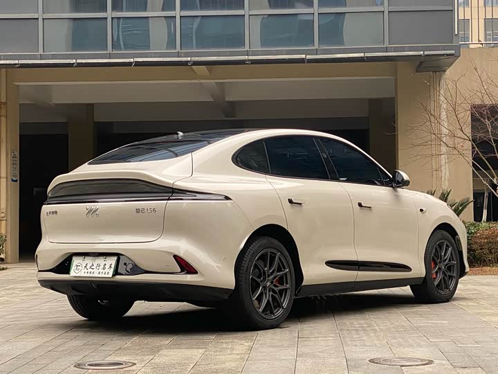 Фото 3 - IM motors LS6