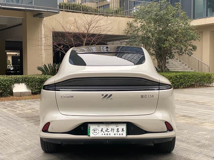 Фото 4 - IM motors LS6