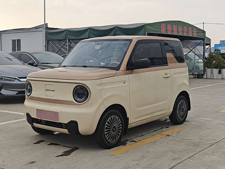 Фото 1 - Geely Galaxy Panda Mini