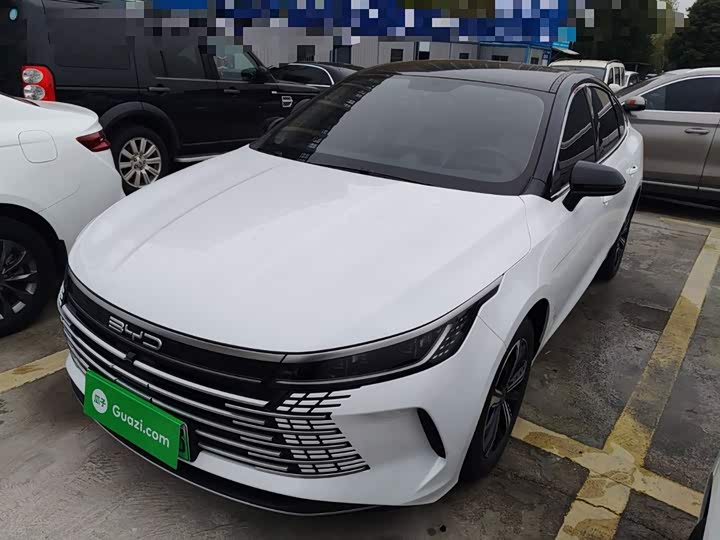 Фото 2 - BYD Destroyer 05