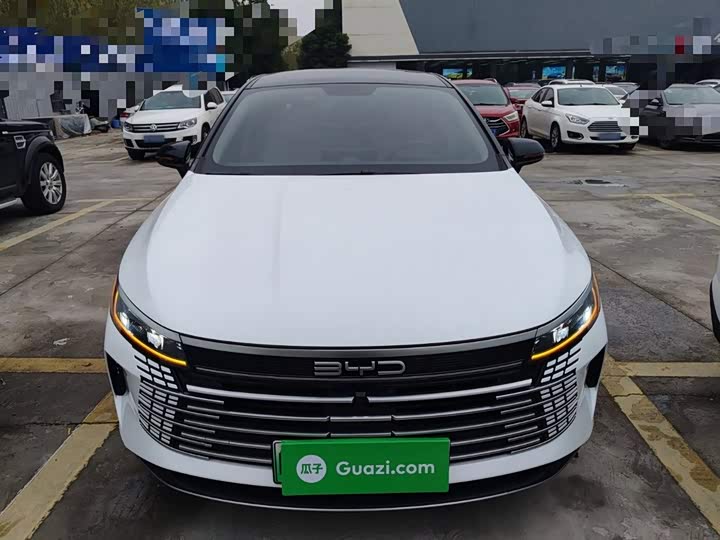 Фото 3 - BYD Destroyer 05