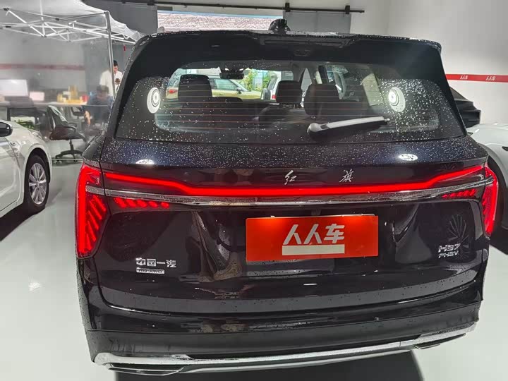 Фото 6 - Hongqi HS7 Hybrid