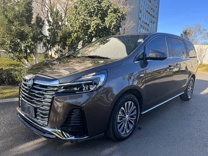 Фото 1 - Buick GL8 ES