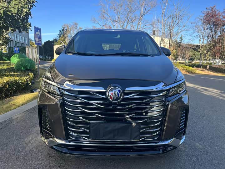 Фото 2 - Buick GL8 ES