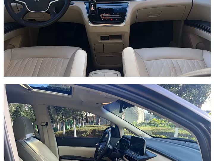 Фото 4 - Buick GL8 ES