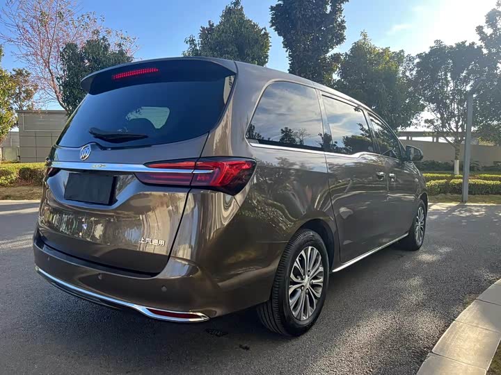 Фото 7 - Buick GL8 ES