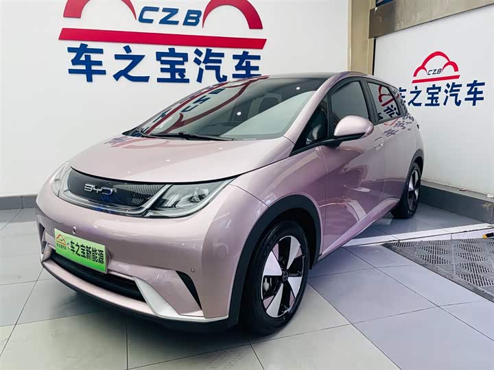 Фото 1 - BYD Dolphin