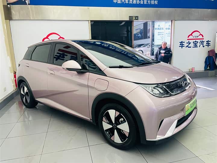 Фото 3 - BYD Dolphin