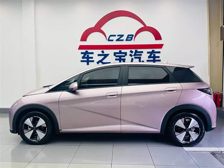 Фото 4 - BYD Dolphin