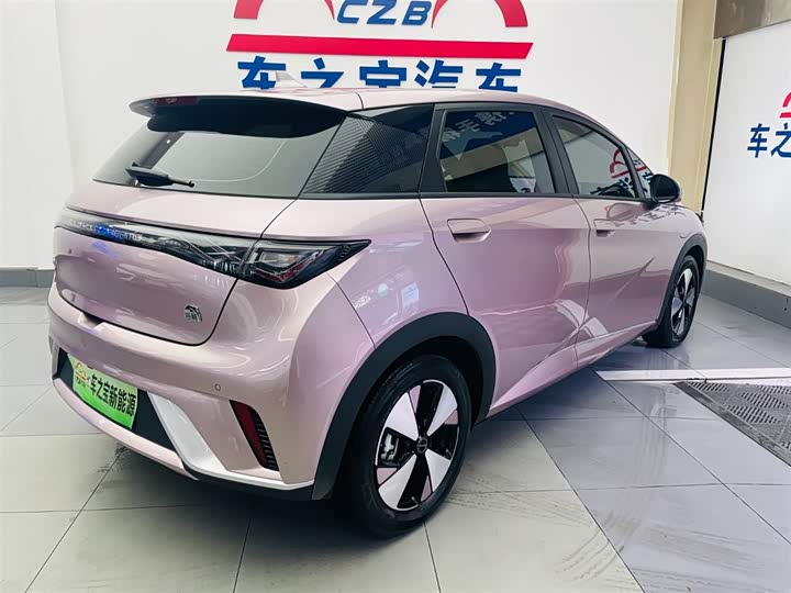 Фото 5 - BYD Dolphin