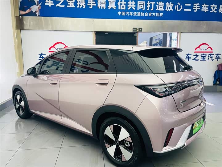 Фото 7 - BYD Dolphin