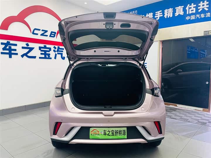 Фото 9 - BYD Dolphin