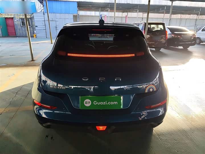 Фото 6 - Ora Good Cat (03)