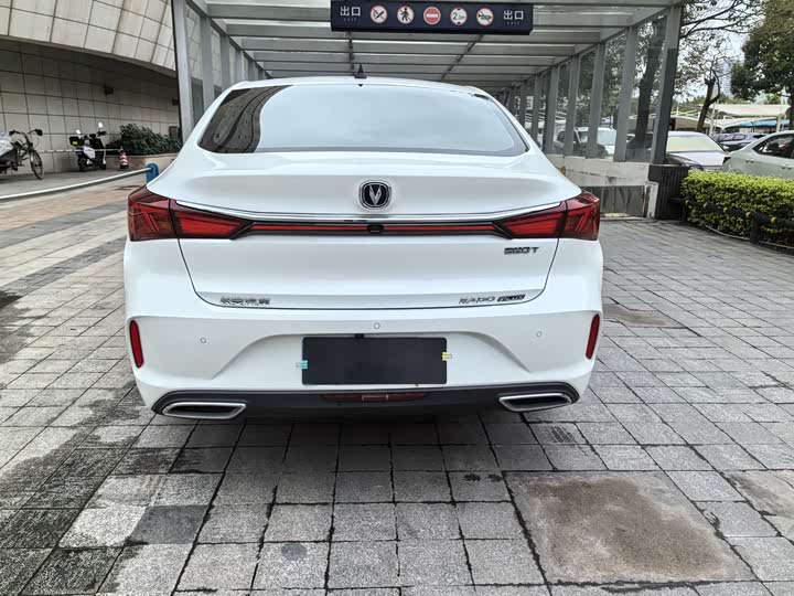 Фото 6 - Changan Eado Plus