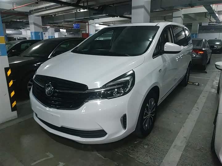 Фото 1 - Buick GL8 ES