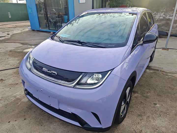 Фото 2 - BYD Dolphin