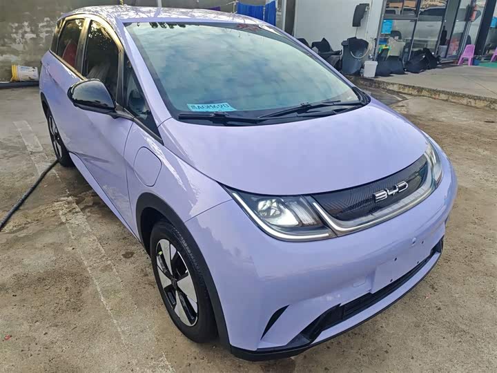 Фото 4 - BYD Dolphin