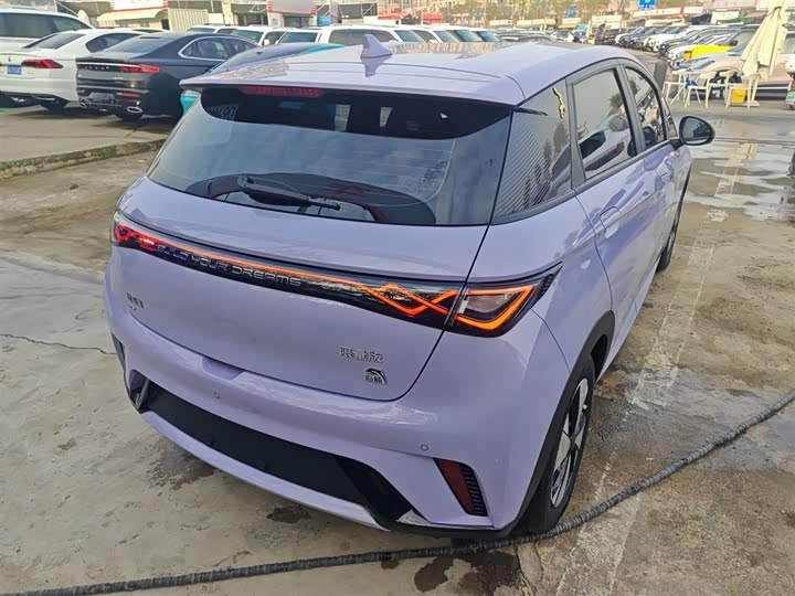 Фото 7 - BYD Dolphin