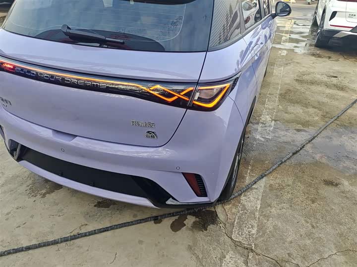 Фото 8 - BYD Dolphin