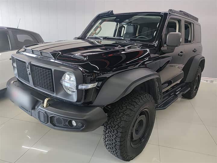 Фото 2 - Tank 300