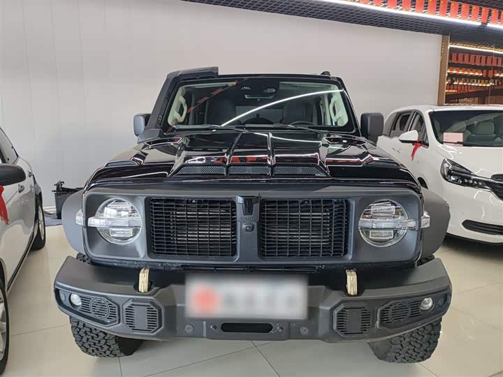 Фото 3 - Tank 300