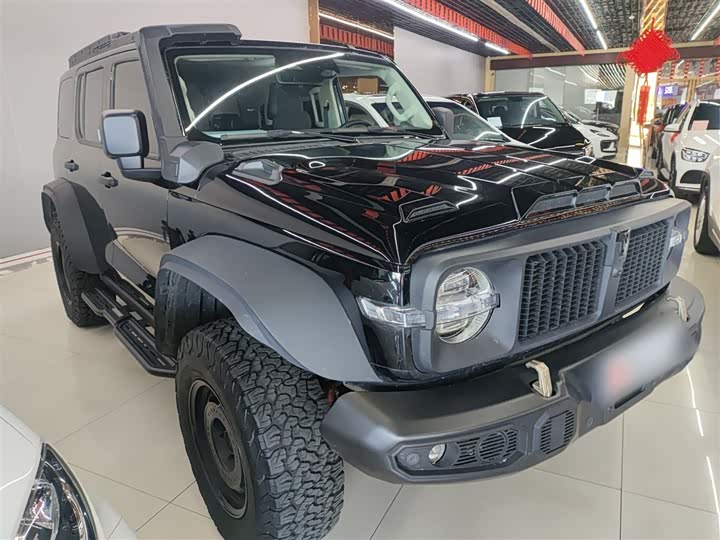 Фото 4 - Tank 300