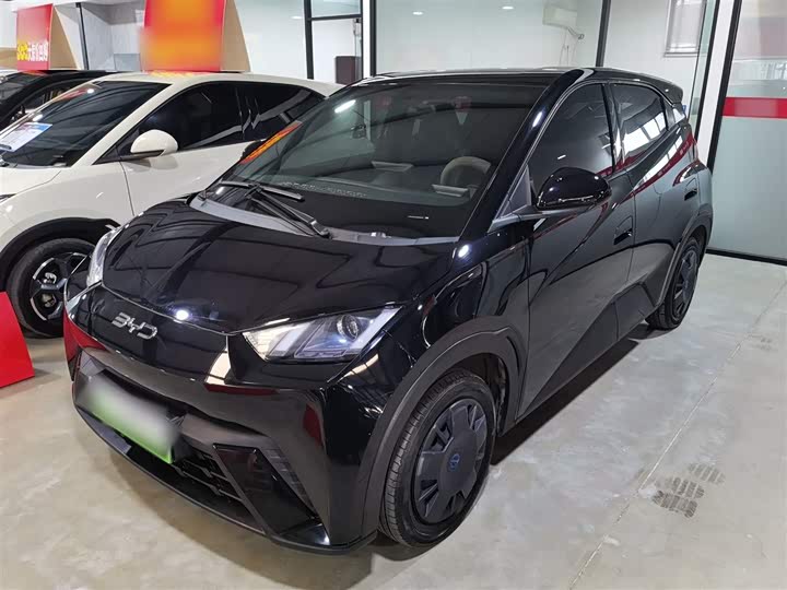 Фото 2 - BYD Seagull