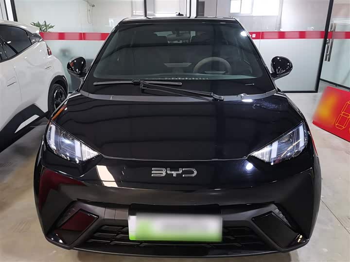 Фото 3 - BYD Seagull