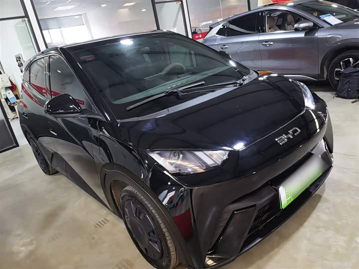 Фото 4 - BYD Seagull