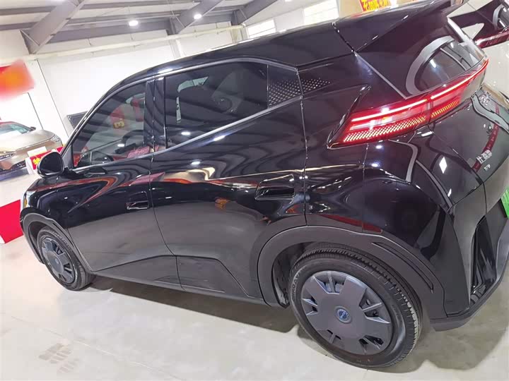 Фото 5 - BYD Seagull