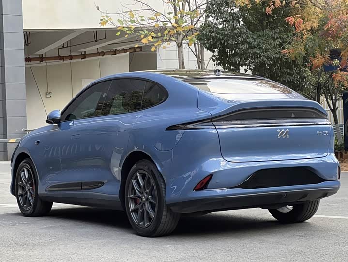 Фото 5 - IM motors LS6