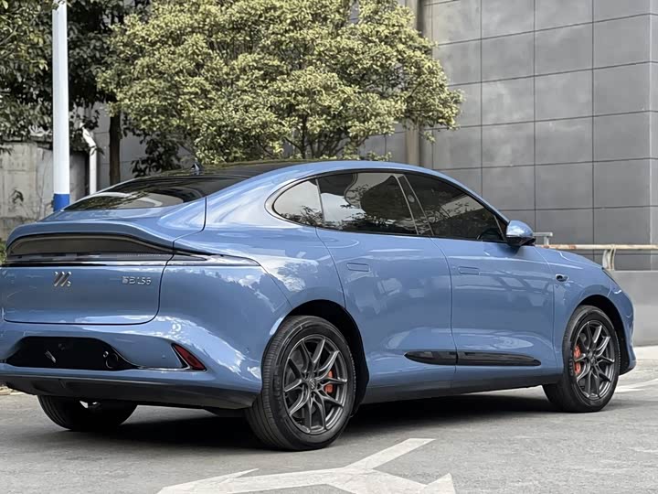 Фото 6 - IM motors LS6