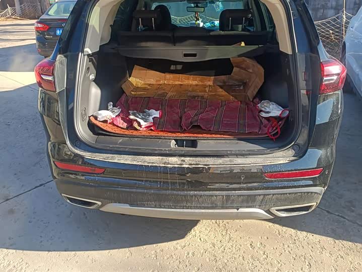 Фото 4 - Buick Envision Plus