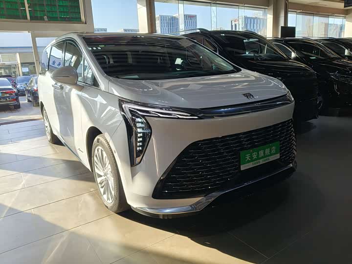 Фото 3 - Buick GL8 Century