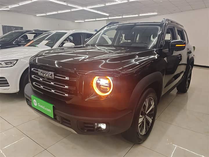 Фото 2 - Haval Dargo