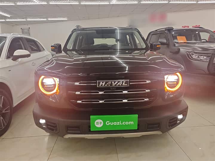 Фото 3 - Haval Dargo