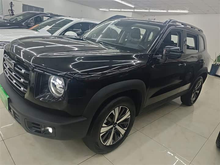 Фото 5 - Haval Dargo