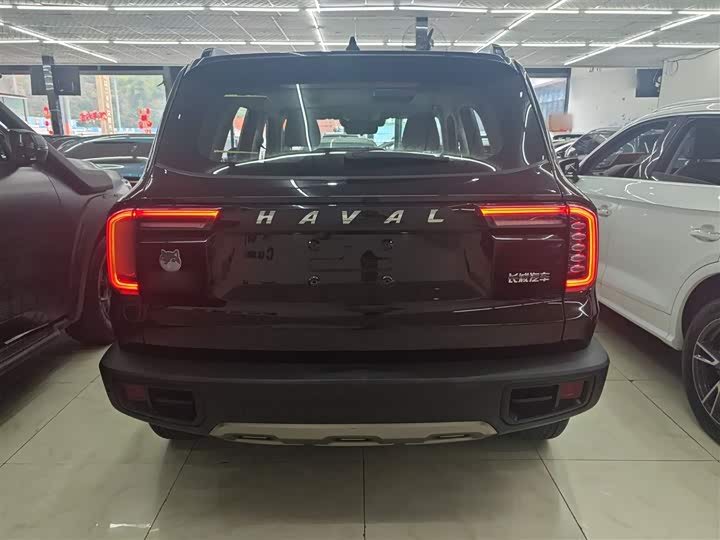 Фото 6 - Haval Dargo