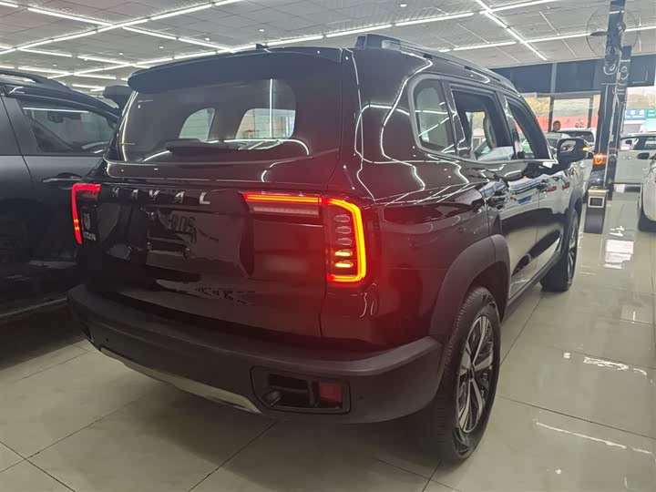 Фото 7 - Haval Dargo