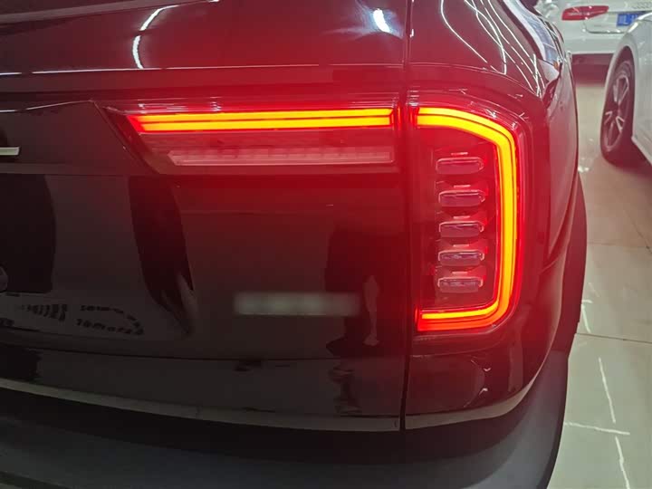 Фото 8 - Haval Dargo