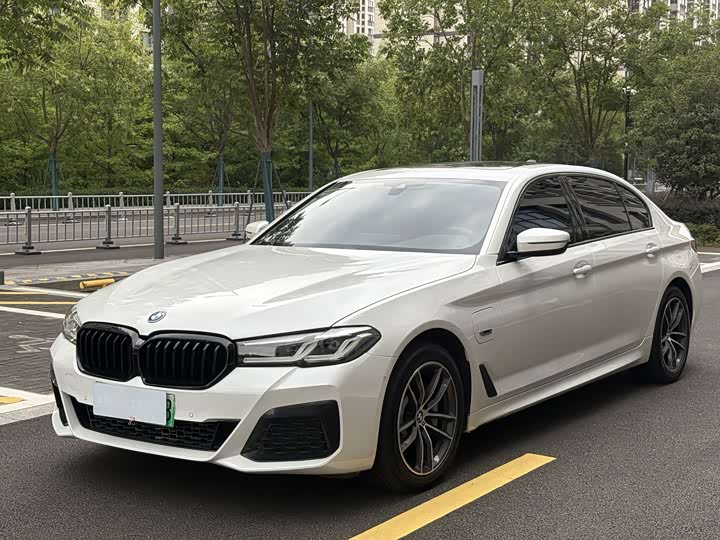 Фото 1 - BMW 5 Series Hybrid