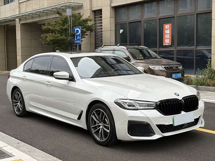 Фото 3 - BMW 5 Series Hybrid