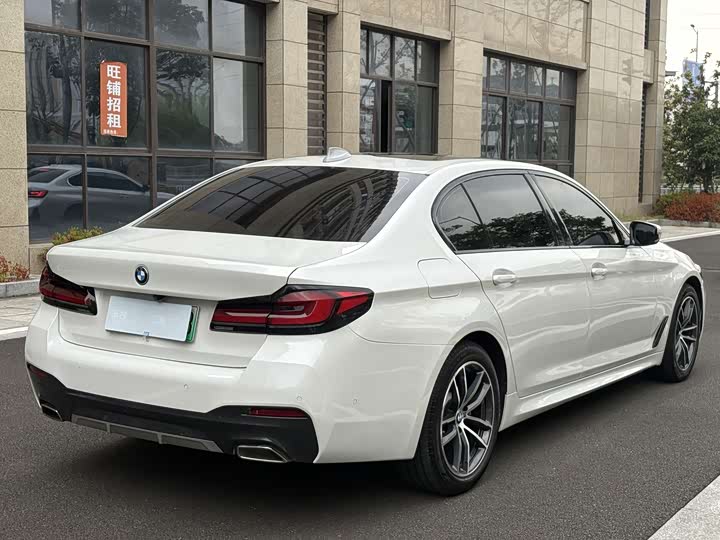 Фото 4 - BMW 5 Series Hybrid