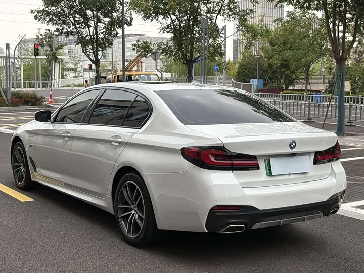 Фото 6 - BMW 5 Series Hybrid