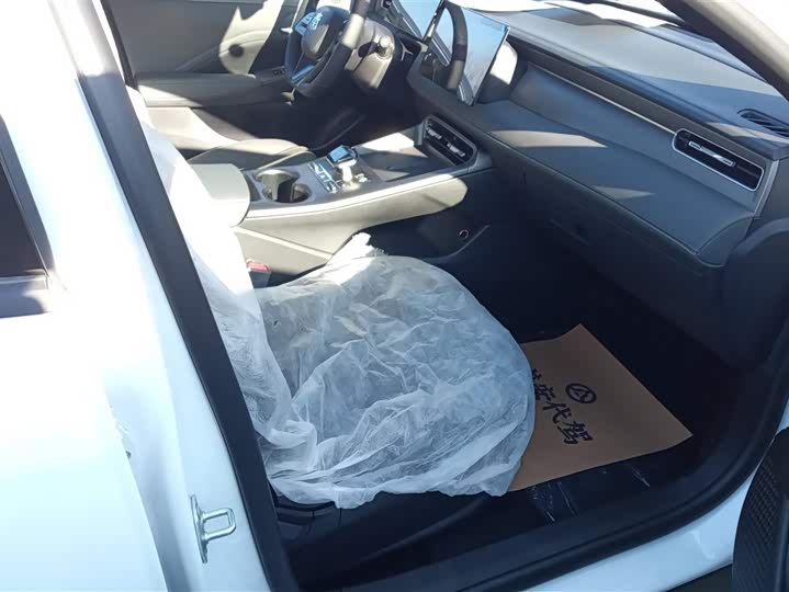 Фото 8 - BYD Qin Plus