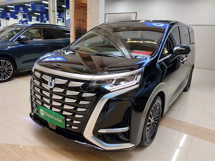 Фото 2 - Denza D9