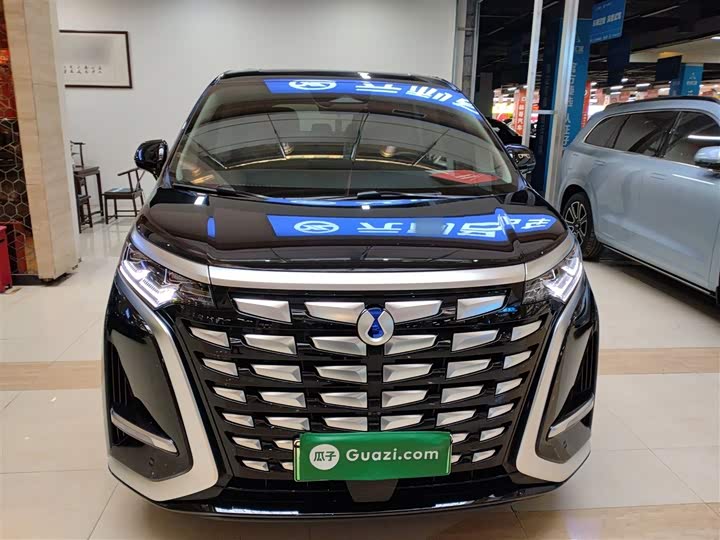 Фото 3 - Denza D9