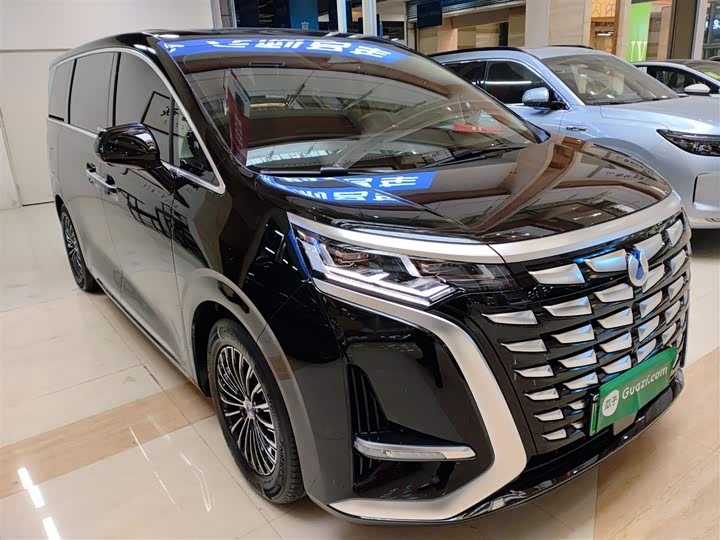 Фото 4 - Denza D9