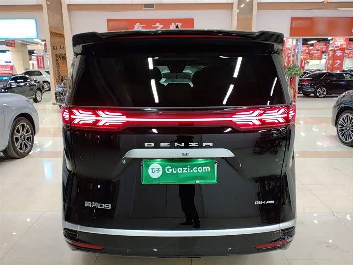 Фото 6 - Denza D9